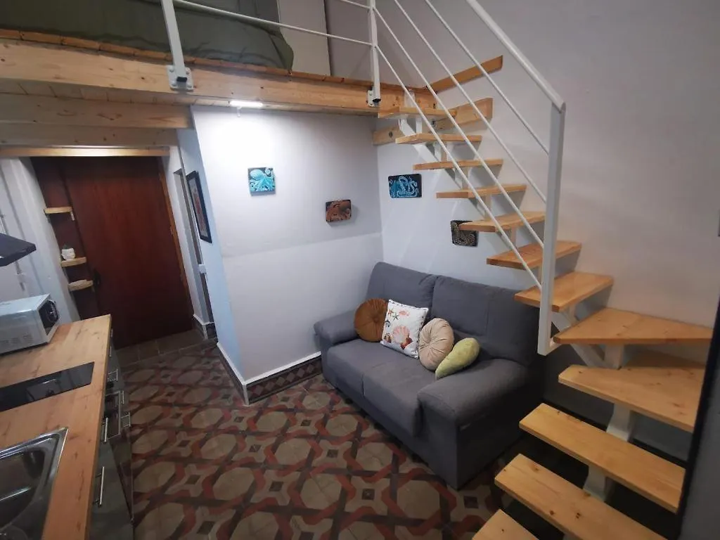 Maison d'hôtes Atlantis Surf Hostel Moya